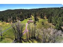 Stunning aerial view of a home with a long driveway surrounded by lush greenery and mountain views at 1971 Kerr Gulch Rd, Evergreen, CO 80439