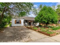 Charming home featuring a garden in front with lush landscaping and mature trees at 1341 Chester St, Aurora, CO 80010