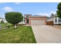 Charming single-Gathering home with a well-maintained lawn, a mature tree, and a two-car garage at 11847 Trail View Ln, Parker, CO 80134