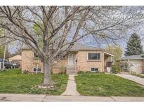 Charming brick home with a well-maintained lawn and mature tree in a quiet neighborhood at 2710 Zenobia St, Denver, CO 80212