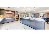 Spacious kitchen with an island, stainless steel appliances, and modern gray cabinets at 463 Locust St, Denver, CO 80220