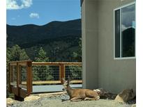 A relaxing deer rests outside this mountain house with stone accents and a wood deck at 33884 Bergen View Trl, Evergreen, CO 80439