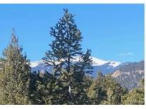 Scenic view of evergreen trees and snow-capped mountains in the distance against a clear blue sky at 33884 Bergen View Trl, Evergreen, CO 80439