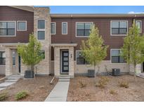 Inviting exterior of a modern townhome with stone accents and well-maintained landscaping at 7877 Yampa River Ave, Littleton, CO 80125