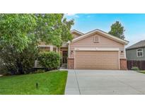 Charming single-Gathering home featuring a manicured lawn, mature trees, and inviting curb appeal at 1229 Berganot Trl, Castle Pines, CO 80108