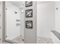 Modern bathroom featuring walk-in shower with river rock floor and decorative wall art at 21893 E Tufts Cir, Aurora, CO 80015