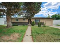 Ranch-style home with a one-car garage, brick accents, and a mature shade tree in a lush front yard at 1231 W Radcliff Ave, Englewood, CO 80110