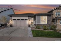 Charming single-story home featuring stone accents, a two-car garage, and landscaped front yard at 9055 Swan River St, Littleton, CO 80125