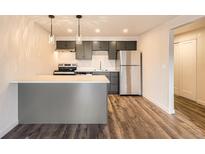 Modern kitchen featuring stainless steel appliances, gray cabinetry, and wood-look flooring at 1302 S Parker Rd # 229, Denver, CO 80231