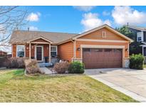Charming single-Gathering home with a two-car garage and landscaped front yard at 1294 Kittery St, Castle Rock, CO 80104