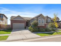 Attractive ranch home with a two-car garage, landscaping, and a welcoming front porch at 672 W 128Th Pl, Westminster, CO 80234