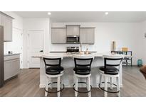 Modern kitchen featuring stainless steel appliances, gray cabinets, and a large island with bar seating at 3074 Belleville Ridge Rd, Elizabeth, CO 80107