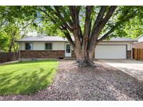 Charming ranch-style home with brick accents and a lush front yard shaded by a mature tree at 7695 S Harlan St, Littleton, CO 80128