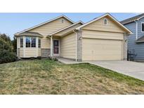 Attractive Ranch home with a two-car garage and well-manicured lawn at 11012 Blackwolf Ln, Parker, CO 80138