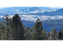 Stunning mountain views in the distance with pine trees in the foreground at 26526 Gray Buck Trl, Conifer, CO 80433