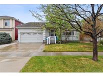 Charming single-story home with a well-maintained lawn, attached garage, and mature trees enhancing curb appeal at 4819 Jericho Ct, Denver, CO 80249