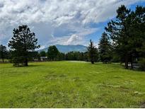Expansive front yard featuring lush green grass, mature trees, and a scenic mountain backdrop on a partly cloudy day at 29663 Paint Brush Dr, Evergreen, CO 80439