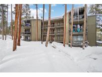 Multi-level condo building with snowy grounds, balconies, and natural tree accents at 1173 Ski Hill Rd # 127, Breckenridge, CO 80424