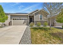 Charming single-story home featuring a two car garage, stone accents, manicured lawn, and solar panels at 16099 Alberta Dr, Parker, CO 80134