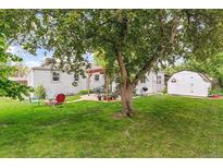 Serene backyard with lush lawn, patio, mature tree, and convenient storage shed at 4285 Newland St, Wheat Ridge, CO 80033