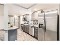 This is a kitchen with stainless steel appliances and gray cabinets at 4445 Milwaukee St, Denver, CO 80216