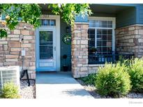 Charming front entrance featuring a stone facade, blue door with glass, and well-maintained landscaping at 457 Black Feather Loop # 703, Castle Rock, CO 80104