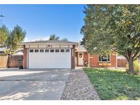 Brick ranch home with attached garage and landscaped yard at 6062 Garrison St, Arvada, CO 80004