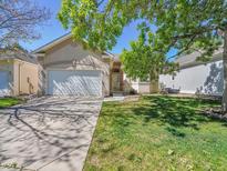 Charming single-story home with a well-manicured lawn and an attached two-car garage at 946 Champion Cir, Longmont, CO 80503
