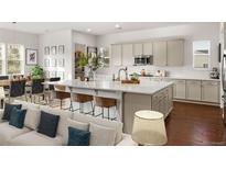 Bright kitchen with a large island with seating, stainless steel appliances, and ample cabinet space at 5693 Missoula Trl, Castle Rock, CO 80108