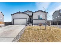 Charming single-story home features gray siding, attached garage, and low-maintenance front yard at 2404 Horse Shoe Cir, Fort Lupton, CO 80621