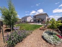 Landscaped backyard with healthy green grass, patio, and raised garden beds at 9 N Waterloo St, Aurora, CO 80018