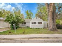 Charming gray single-story home featuring a lush front yard with mature trees and appealing landscaping at 113 E Saint Clair Ave, Longmont, CO 80504