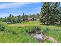 Charming home nestled on a hill surrounded by lush greenery and a serene creek at 27612 Shadow Mountain Dr, Conifer, CO 80433