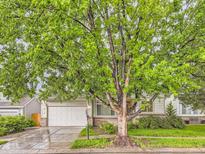 Charming home featuring a well-manicured lawn, mature trees, and a welcoming two-car garage at 19346 E Clear Creek Way, Parker, CO 80134
