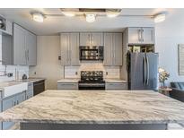Modern kitchen features gray cabinets, marble countertops, and stainless steel appliances at 1050 N Corona St # 206, Denver, CO 80218