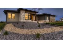 Striking modern home featuring a combination of stone and siding, professionally landscaped grounds, and large picture windows at 8868 Geyser Peak Way, Parker, CO 80138
