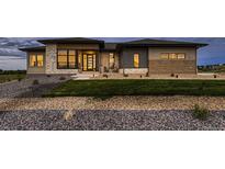 Stunning home exterior with manicured lawn, stone accents, and modern design elements at 8868 Geyser Peak Way, Parker, CO 80138