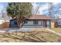 Charming single-story home featuring a well-manicured lawn and a mature tree, offering great curb appeal at 2550 Kendall St, Edgewater, CO 80214