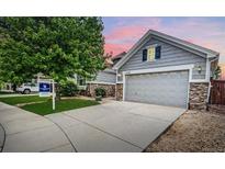 Charming home featuring stone accents, gray siding, mature tree, and a spacious driveway leading to a two-car garage at 15502 E Flower Mound Pl, Parker, CO 80134