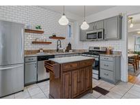 Charming kitchen featuring gray cabinets, stainless appliances, tile backsplash and center island at 39 S Grant St, Denver, CO 80209