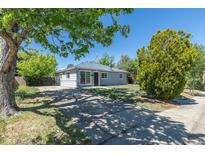 Charming single-story home features mature trees, a spacious front yard, and a concrete driveway at 967 Victor St, Aurora, CO 80011