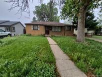 Modest single-story home with overgrown front lawn and a concrete walkway on an overcast day at 1078 Elmira St, Aurora, CO 80010