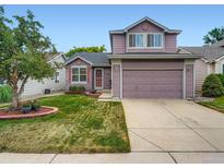 Charming two-story home with a well-manicured lawn and attached garage, offers lovely curb appeal at 3691 Bucknell Dr, Highlands Ranch, CO 80129