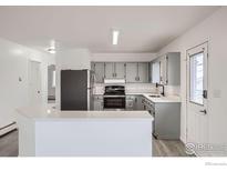 Bright kitchen features stainless steel appliances, white countertops, and light gray cabinets at 224 N 2Nd St, Berthoud, CO 80513