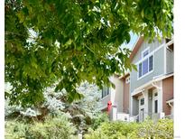 Townhome exterior with gray siding and landscaping at 4110 Riley Dr, Longmont, CO 80503