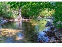 Secluded creek with lush foliage and rock formations offering serene natural beauty at 531 Arapahoe Ave, Boulder, CO 80302