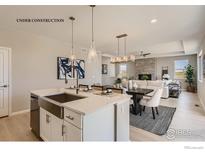 Modern kitchen with a large island, stainless steel appliances, and an open floor plan with dining and living areas at 2723 Crystal Springs Ln, Longmont, CO 80503