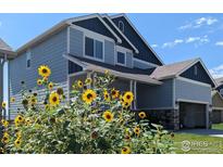 Charming two-story home with light blue siding and beautiful sunflowers in the front yard at 655 Lene Ln, Berthoud, CO 80513