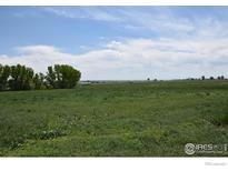 Expansive land with lush green grass and scattered trees under a bright, partly cloudy sky at 3113 County Road 17, Brighton, CO 80603