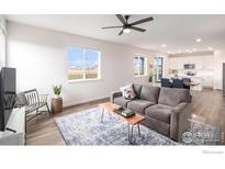 Cozy living room with a gray sofa, stylish rug, and a view into the adjacent kitchen at 5805 Red Barn Ave, Mead, CO 80542